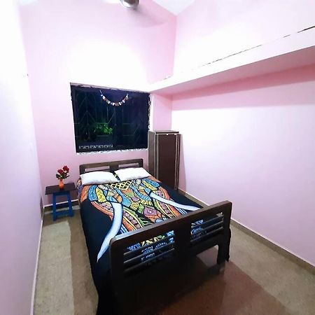 Spacious 2Bhk In Patnem - Palolem With Garden Canacona Eksteriør bilde