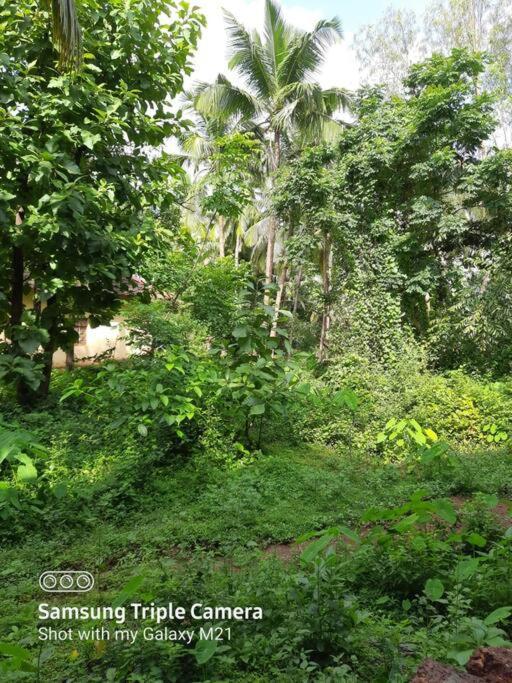 Spacious 2Bhk In Patnem - Palolem With Garden Canacona Eksteriør bilde