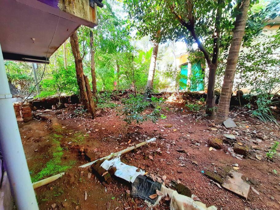 Spacious 2Bhk In Patnem - Palolem With Garden Canacona Eksteriør bilde